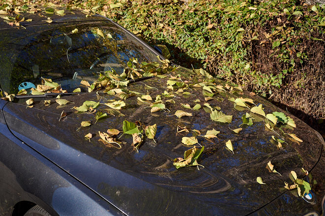 Tarnkappenmodus  ;  ) 