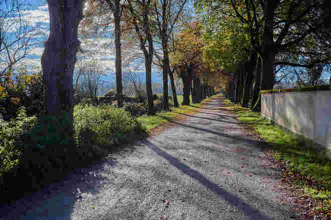 Hellbrunner Allee