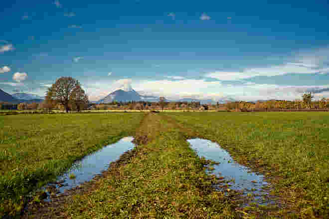 Nach der Regennacht