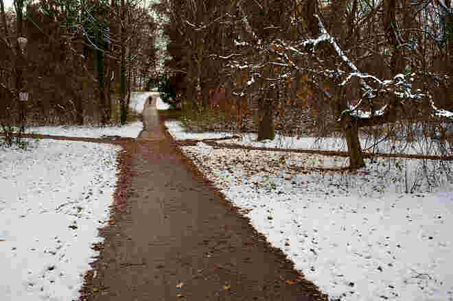 Hans - Donnenberg Park