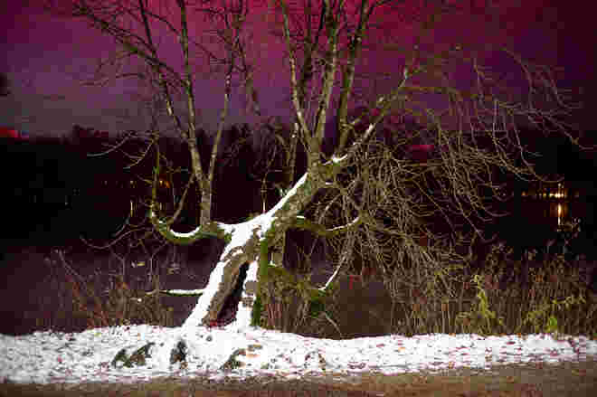 Wintereinbruch