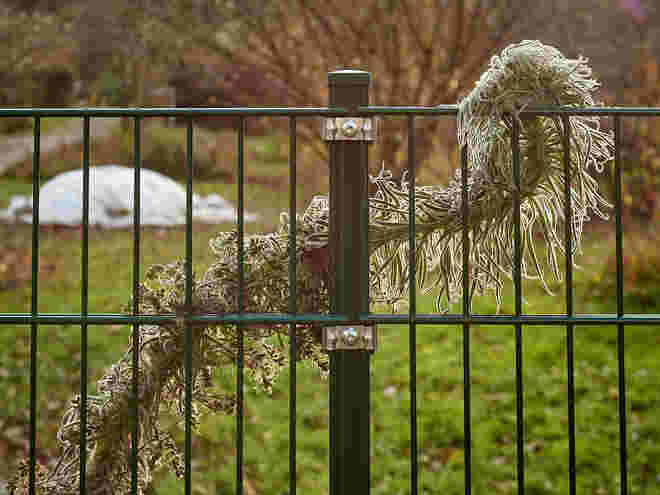 Im Botanischen Garten