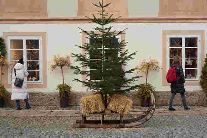 Blicke in die Schaufenster