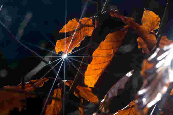 Herbst kann auch strahlen