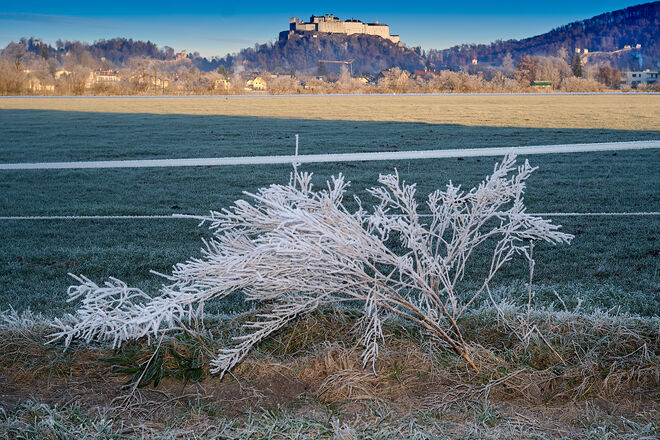 Faszination Raureif  3