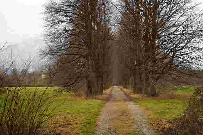 Schlossallee mit Schloss Anif