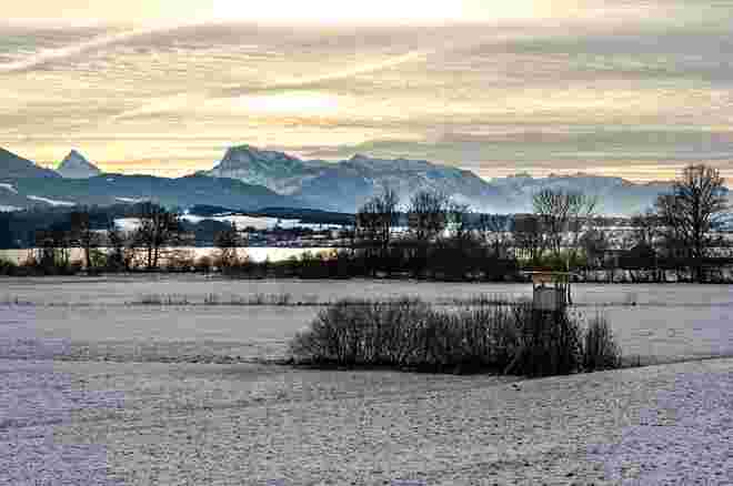 Winterruhe im Wenger Moor