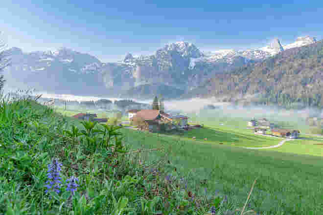 orgennebel