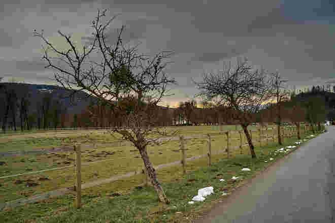Schneereste 