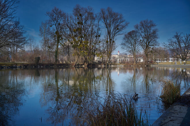 Kopfstand im Nawiweiher  ;  )