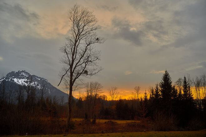 Von Goldenstein zum Untersberg