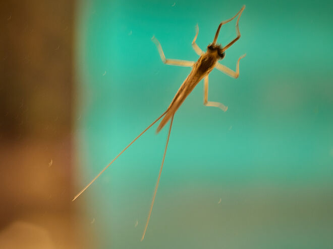 Auf einem Schaufenster