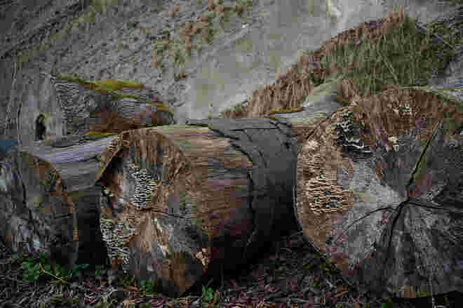 An der Festungsmauer 2