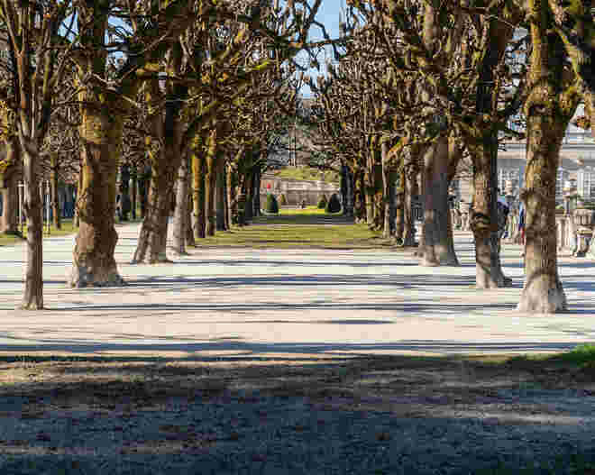Kastanienallee zum Frühlingsbeginn