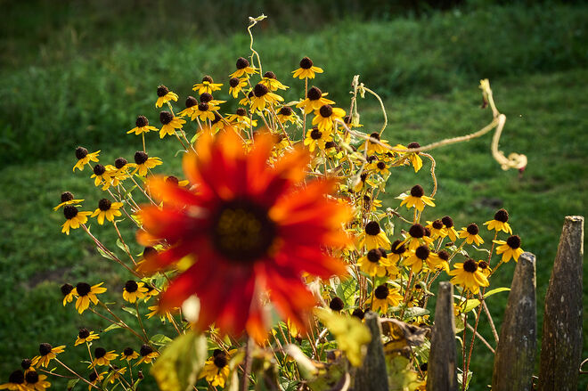 Leuchten im Bauerngartl