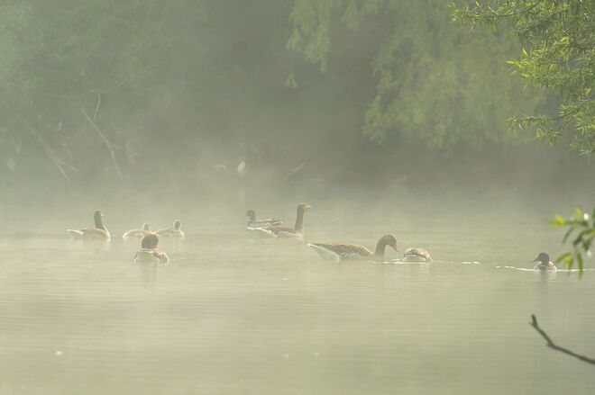 Der Nebel geht, die Sonne kommt...