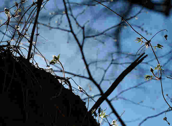 Im Gegenlicht