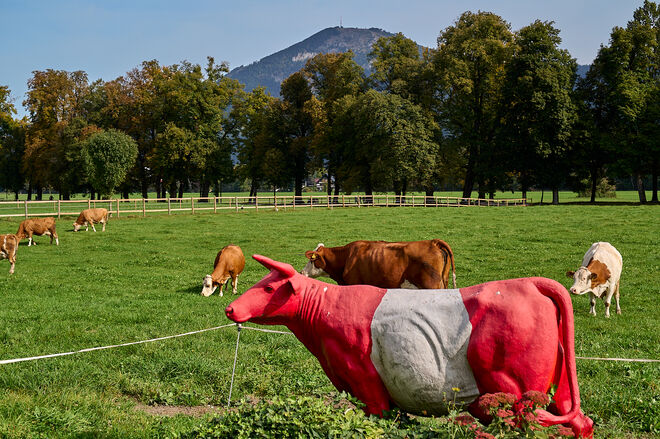 Ob Marketingkühe anders riechen  ;  )