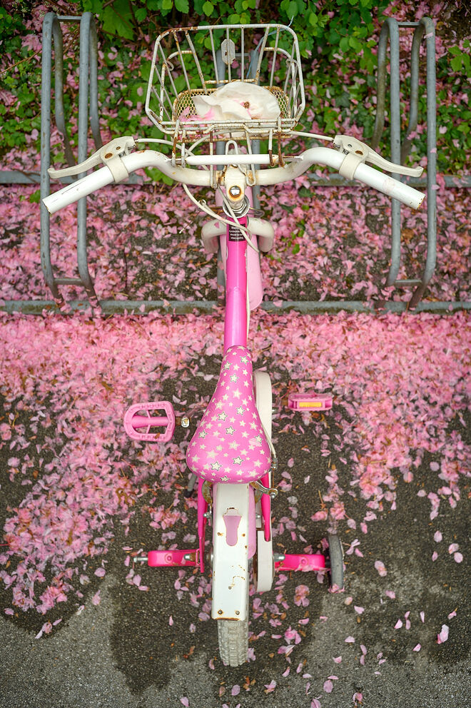 Rosa muß sein  ;  )