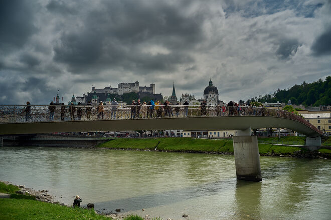 Nicht nur von der Froschperspektive interessant