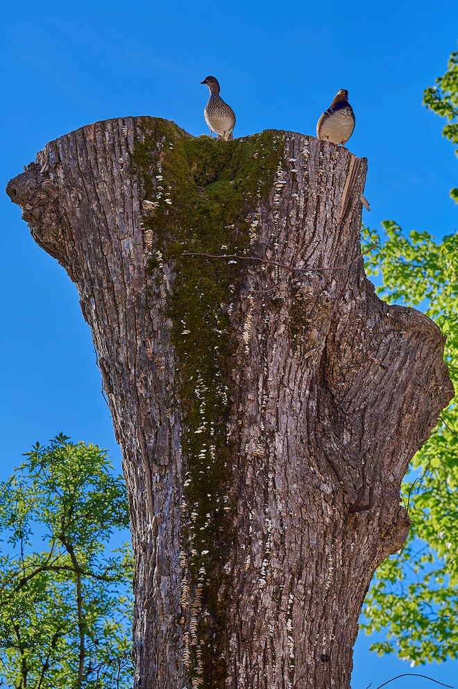 Dachterrassenwohnung