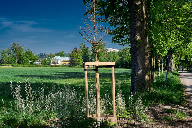 Gwandhaus und Festung