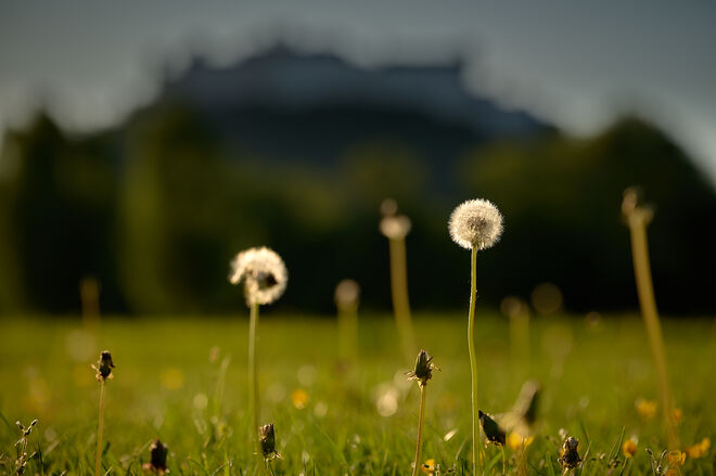 Freisaal heute Abend