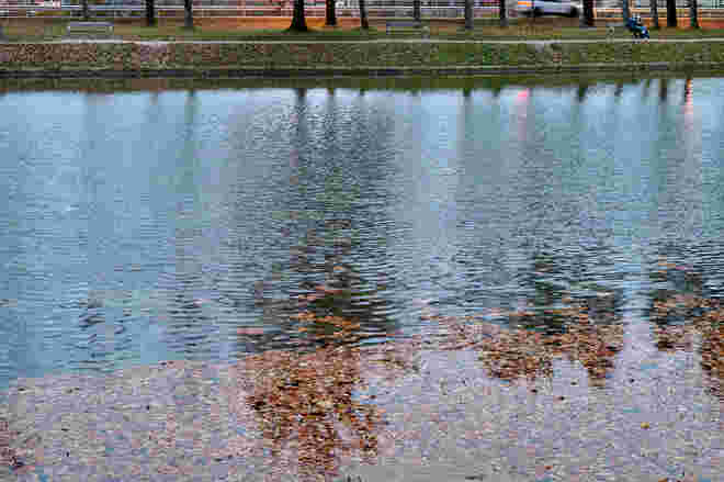 Volksgarten