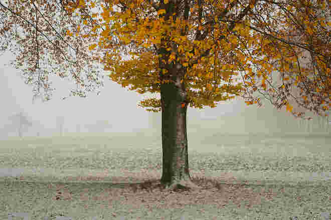 In der Hellbrunner Allee