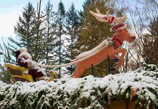 Rudolph the white nosed reindeer  ;  )