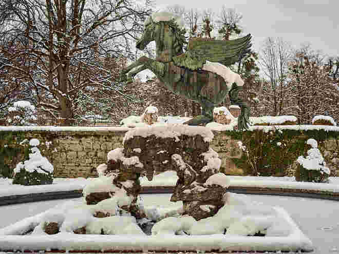 Pegasus tobt gerne im Schnee  ;  )
