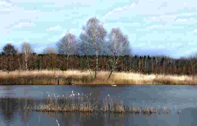 Sehgenuss