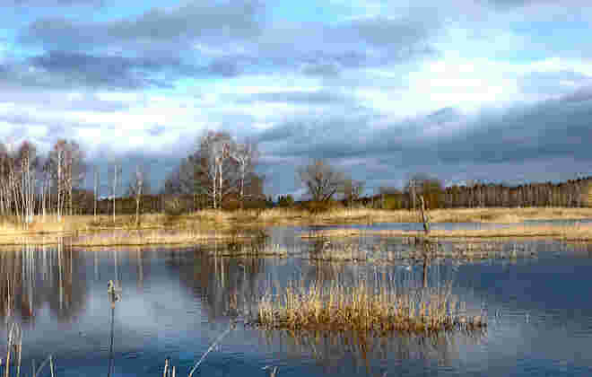 Frühling im Weidmoos