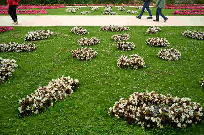 Mirabellgartenbesucher