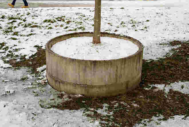 Rundherum im Kreis