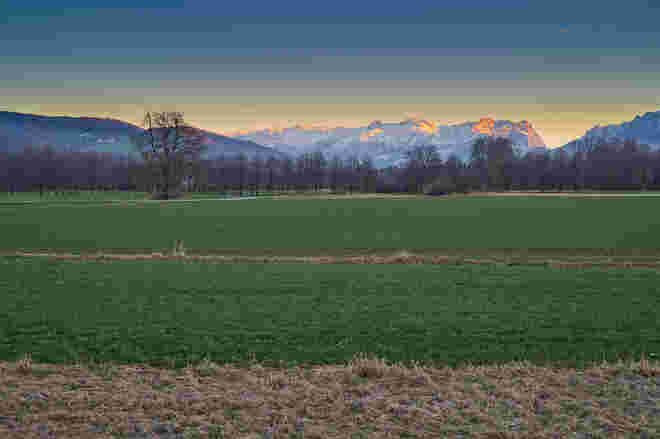 Die Vegetation vor einem halben Jahr