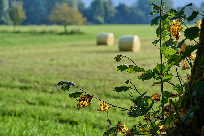 Nach 2 Tagen gut verpackt