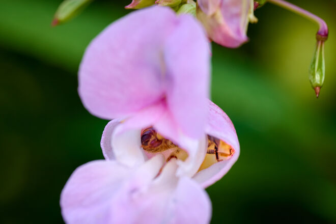 Tiefer geht nicht  ;  )