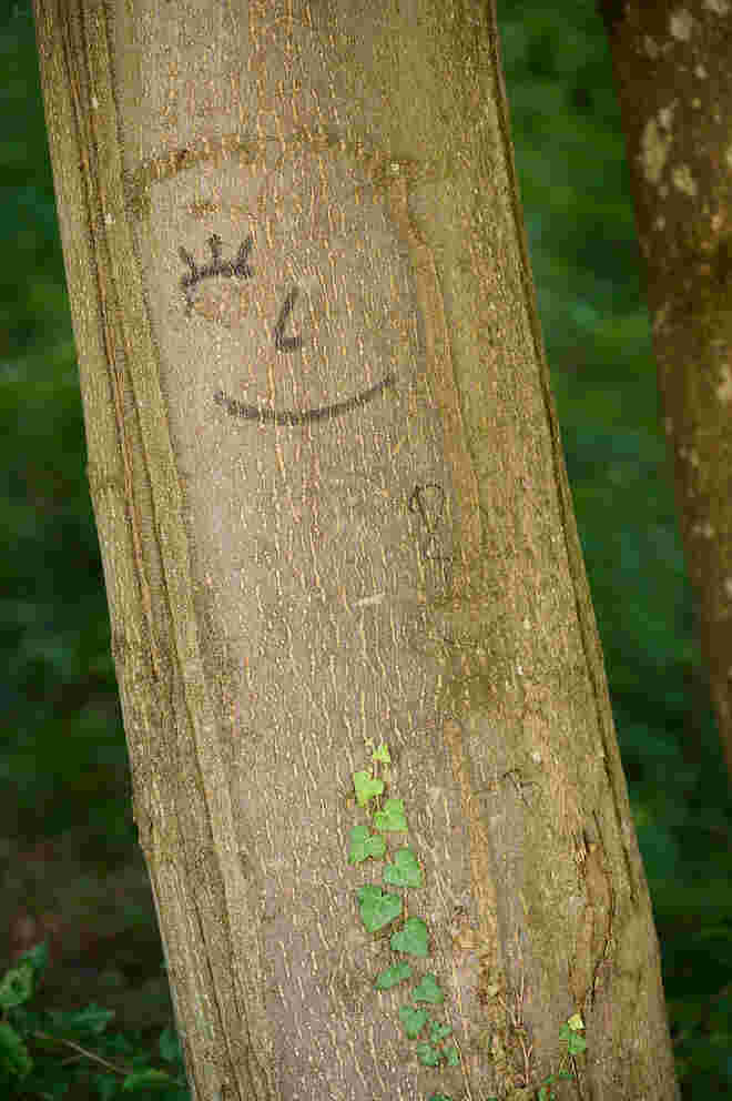 Keep smiling
