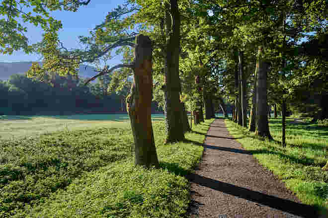 Der Weg ist das Ziel