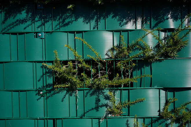 Gartenzaunfenster  ;  )