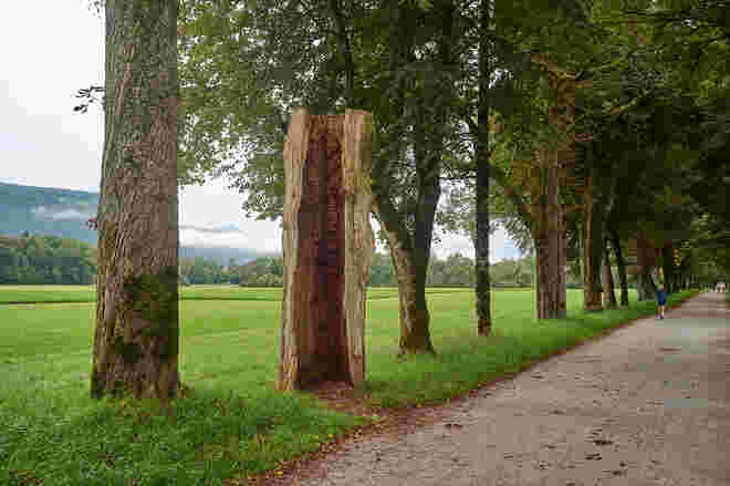 In der Hellbrunner Allee