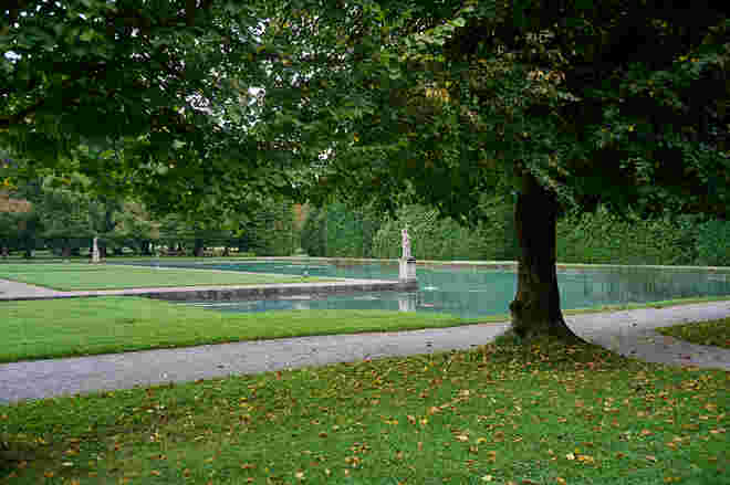 Verfärbtes Laub im Hellbrunner Park