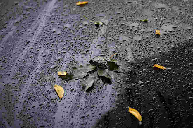 Der Herbst ist gekommen, die Blätter fallen ab 2