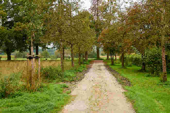Herbststimmung