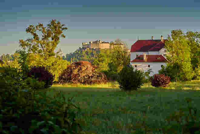 Von der Hofhaymer Allee