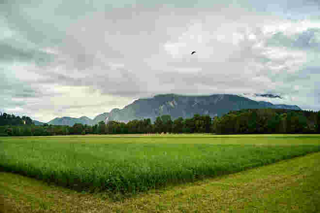 Vom Kreuzhofweg