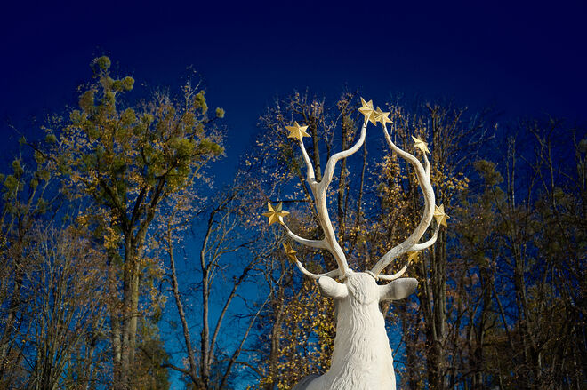 Bei Vollmond leuchten auch Sterne  ;  )