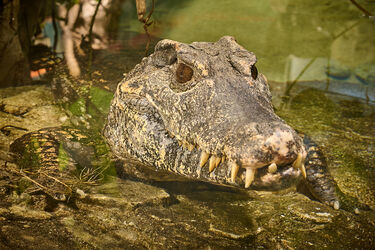 Bewegungslos aber unheimlich