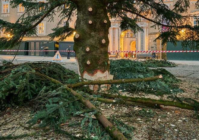Heute fest verankert